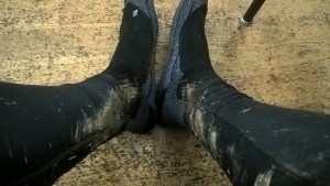 WP_20150831_03_07_32_Pro