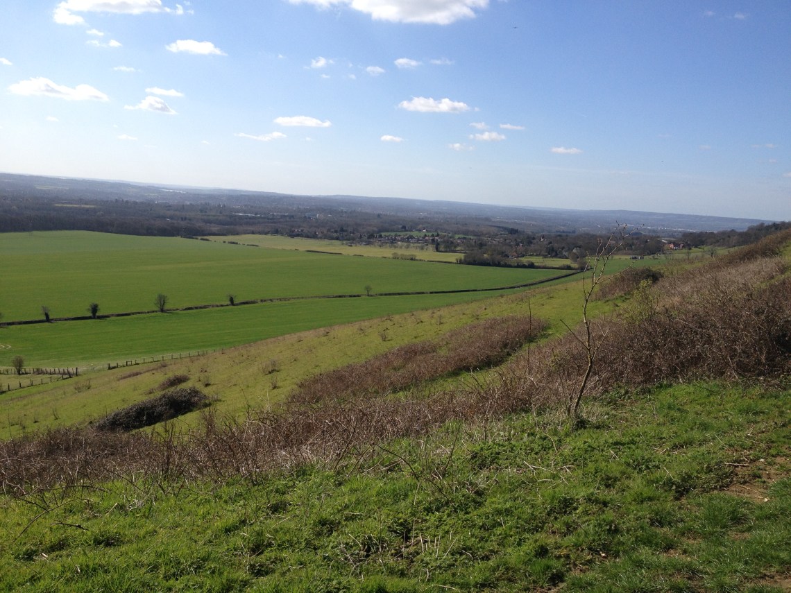 20160325_132225021_iOS