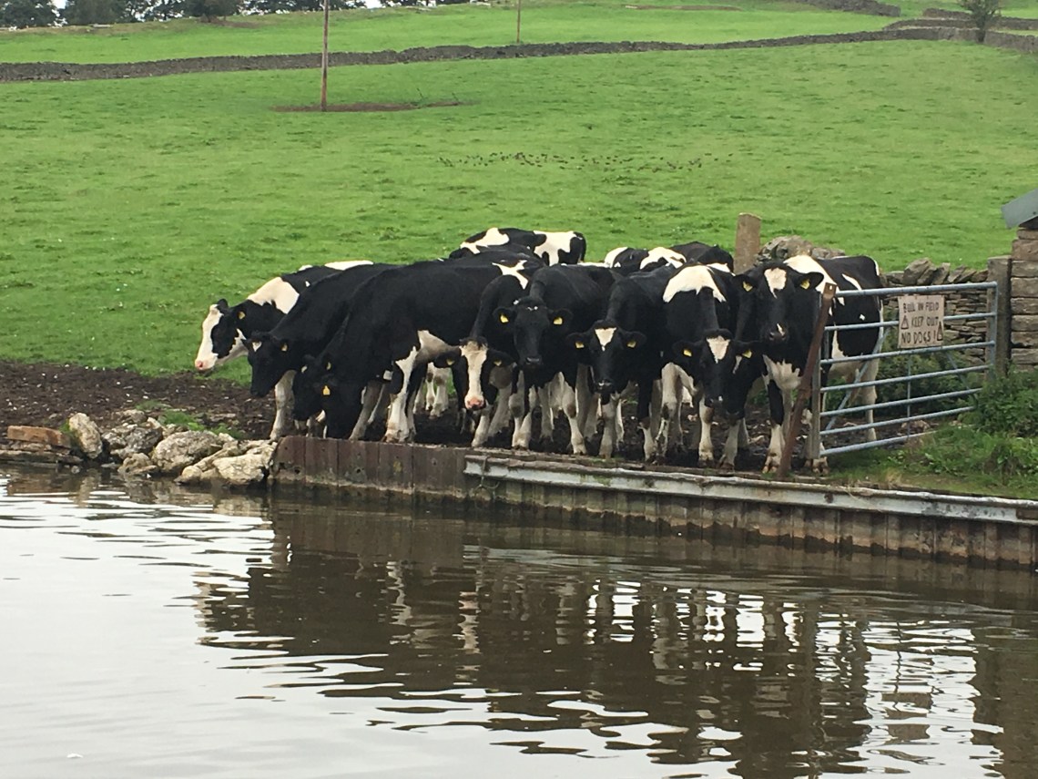 received_454231488419573